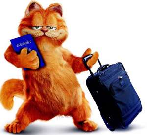 ���� ��� ������� ���� - ����������� 1