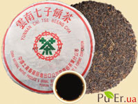 ���� ���, ��������� ���, ��� ���� - ����������� 1