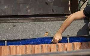 ���� ��� ���������� �� �������� ����� "������". - ����������� 1