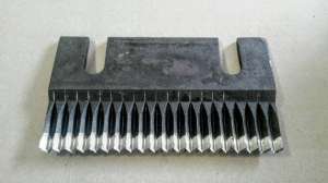 ���� ��� ���������� (�����������) - ����������� 1