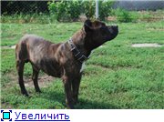 ���� ��� ���������� �������-������� ����� - ����������� 1