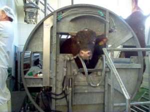 ���� ���� - ����������� 1