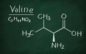 ���� ���� - ����������� 1