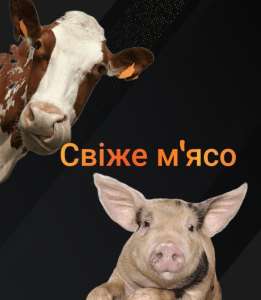 ���� �'��� - ����������� 1