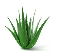 ���� ���� ���� ���������� 10:1 (��������) 25 ����� - ����������� 1