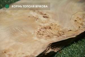 ���� ���� ������ ����� 0,7 ��, ������� �� 0.6 � logs / singl - ����������� 1