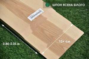 ���� ���� ���������� - ����������� 1