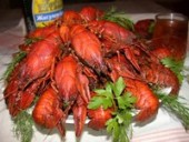 ���� ����� - ����������� 2