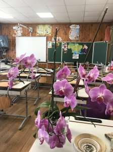 ���� ����� � 2 ���� ���, ���������� �������, �. ������� - ����������� 1