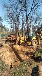 ���� ����� �� ������ �� ���� ��� �� ������� ������ - ����������� 1