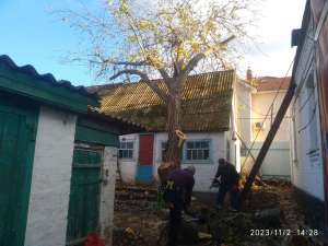 ���� ����� ���. - ����������� 1