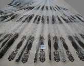 ������� � ����������: ����, ����� (��� � �������)