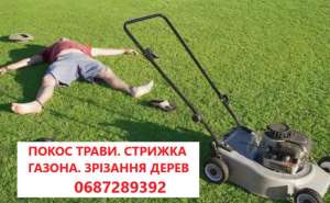 ���� �����: ���, ������� ������� �� ���� ������. ������, �����, ��������! - ����������� 1