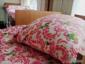 ���� ����� ���� ��������� ������������ - ����������� 2