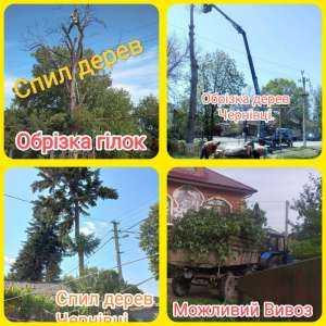 ���� �����, �����, �����, ������ ���� � ��������� �� ������ - ����������� 1