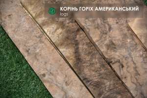 ���� ����� ����� �������������� - ����������� 1