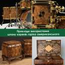 ���� ����� ����� �������������� - ����������� 3