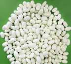 ���� ����� ������ ������� �� ������