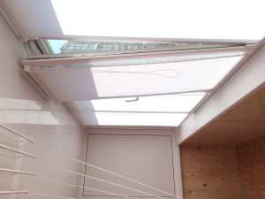 ���� ����� ������� - ����������� 1