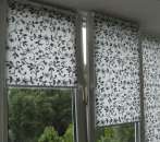 ����, �����, �������, ������, ������� - ����������� 3