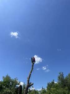 ���� ����� ����-��� ���������.��� �� ������� ������. - ����������� 1