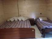 ���� ����� ��������� � �������� ����� (50 ������ �� ����)!. ������ ��� ������ - ������������