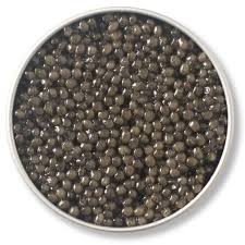 ���� ������ - ����������� 1