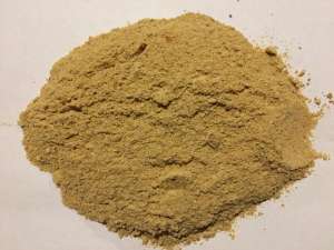 ���� ������ - ����������� 1