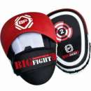 ������� � ����������: ���� ������ � ������� ���� BigFight