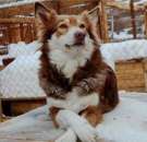 ������� � ����������: ����, ������ � ������� ������� ���� �����.