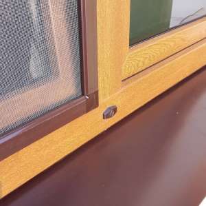 ���� ������ ���. - ����������� 1