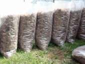 ���� ������ ���� ���� ���� �������� �������� ������� - ����������� 2