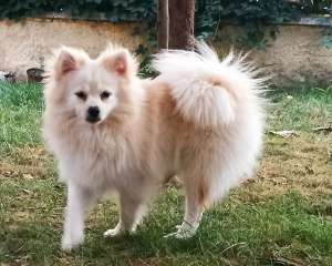 ����: ������ ����� �����. ����������� ����, ������� - ����������� 1