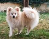 ������� � ����������: ����: ������ ����� �����. ����������� ����, �������