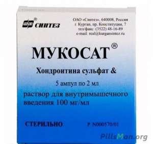 ���� ������ ����� ������ ������� � �� ��� ����. ����� ������� �����. - ����������� 1