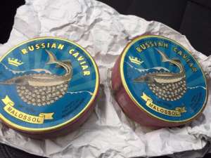 ���� ������ (������) - ����������� 1