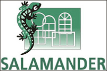 ���� ������ ������ �� 2-3 ���!!! ���� (044) 227-82-07. - ����������� 1