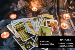 ���� ������. ������� ������� ����. ����� �������� ��������. - ����������� 1