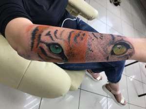 ���� ������ �������� Paint Skin - ����������� 1