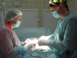 ���� ������ - ��������, ������������ ������ ������ - ����������� 1