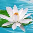 ������� � ����������: ���� ������ ������������ �����