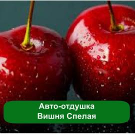 ���� ������� - ����������� 1