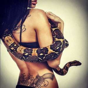 ���� ������� - ����������� 1