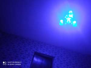 ,���� ������� - ����������� 1