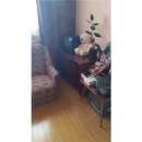 ������� � ����������: ���� �������, � �������� � 4-� ��������� ��������