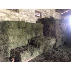 ���� �������, ��� 14-16�� � ���������, ������� ��� ��������� - ����������� 1