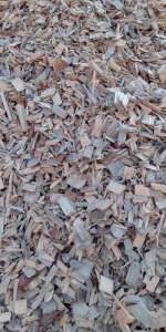 ����. ������� ����. ����� ������. - ����������� 1