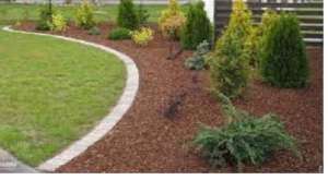 ���� �������: ������, �������, �����, ������. �����. ��� �� ������ - ����������� 1