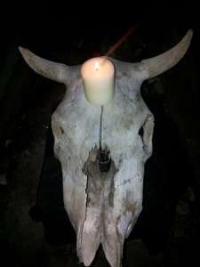 ���� �������. ��������. ����� �����. �������� ����� - ����������� 1