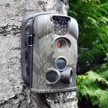 ���� ������� ����������� ��� ������ ������ � �������� �������� - ����������� 1